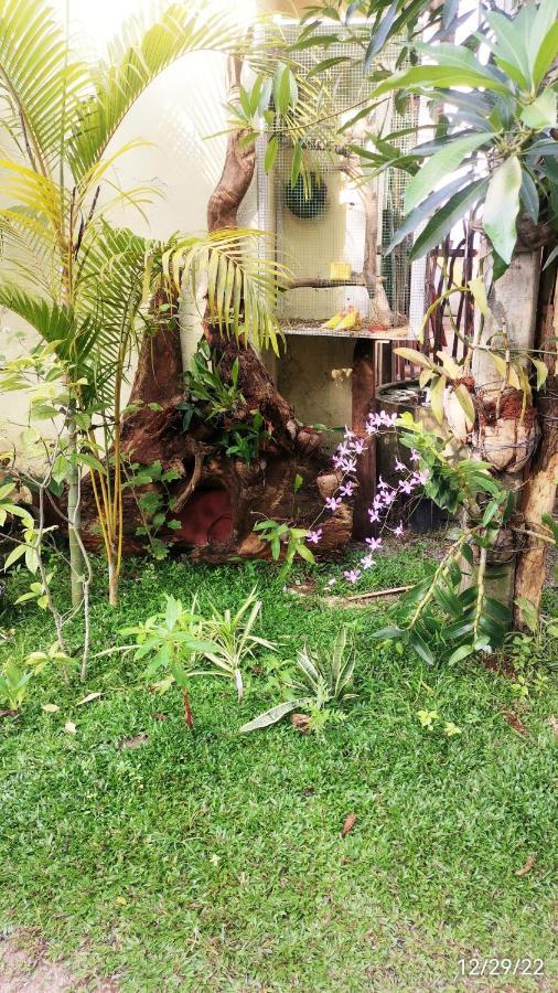 Nilupul Villa Ambalangoda  Exterior foto